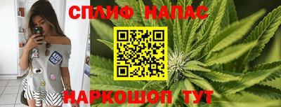 сатива Бугуруслан