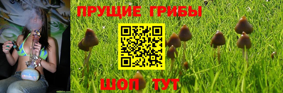 Галлюциногенные грибы Psilocybe  Вход с VPN  Галлюциногенные грибы ЛСД  Майский 
